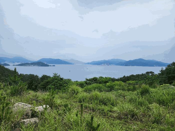 2025타경546 법원경매 사진2 | 경남 거제시 전 경매