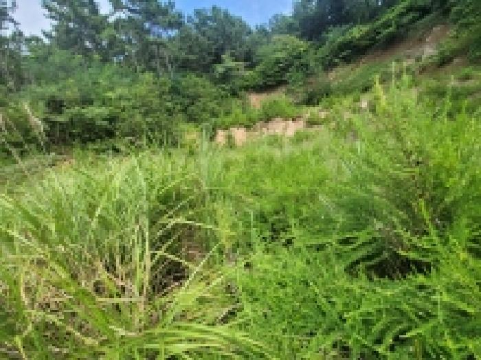 2025타경546 법원경매 사진23 | 경남 거제시 전 경매