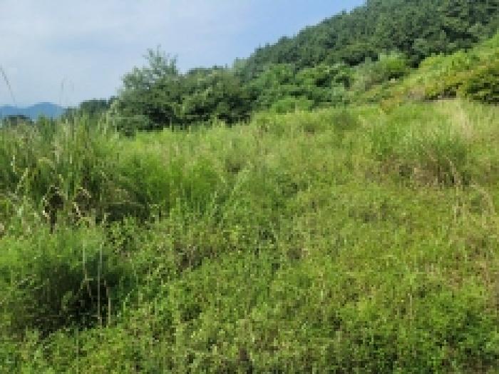 2025타경546 법원경매 사진8 | 경남 거제시 전 경매