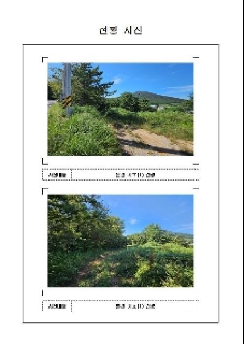 2025타경483 법원경매 사진4 | 전남 신안군 임야 경매