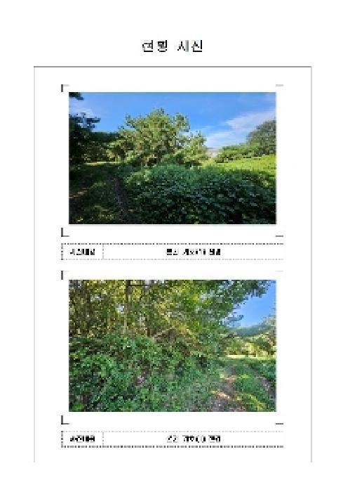 2025타경483 법원경매 사진5 | 전남 신안군 임야 경매
