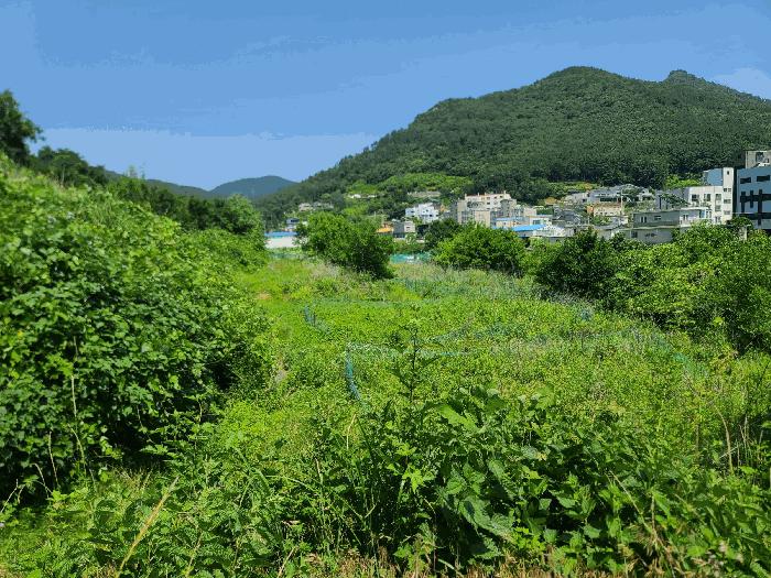 2025타경21486 법원경매 사진5 | 경남 거제시 답 경매
