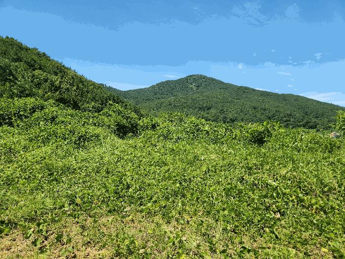경상남도 거제시 둔덕면 거림리 692-2 법원경매 물건 대표사진