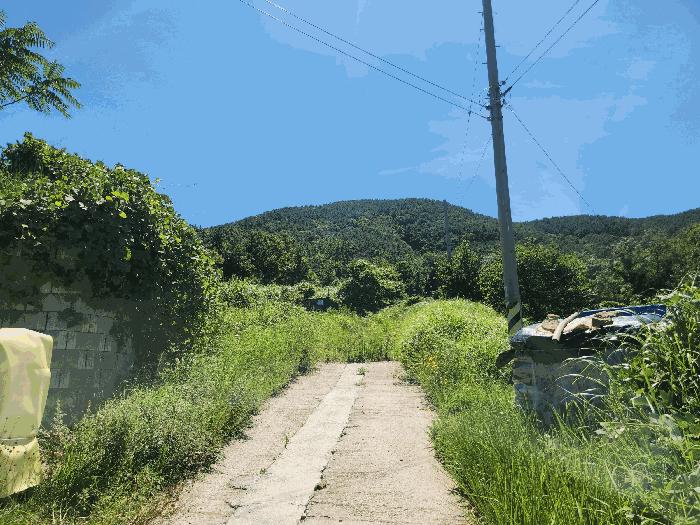 2025타경21701 법원경매 사진3 | 경남 거제시 전 경매