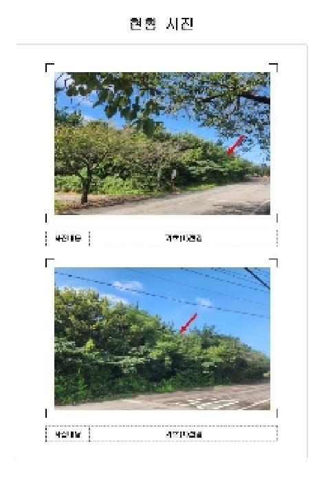 2025타경51379 법원경매 사진4 | 전남 영암군 답 경매