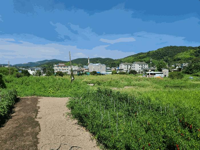 2025타경21813 법원경매 사진4 | 경남 거제시 답 경매