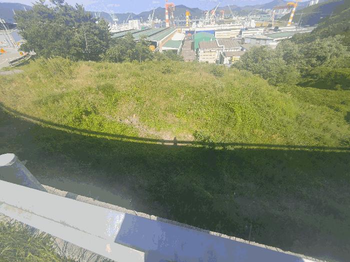 2025타경21829 법원경매 사진6 | 경남 거제시 임야 경매