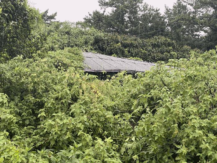 2025타경51491 법원경매 사진3 | 전남 신안군 대지 경매