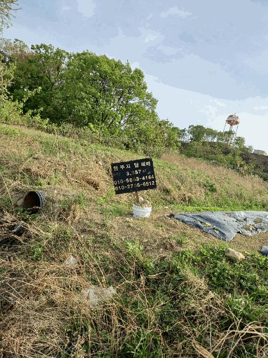 법원경매 2025타경3713 사진4 | 포항시 남구 오천읍 세계리 562 답 경매