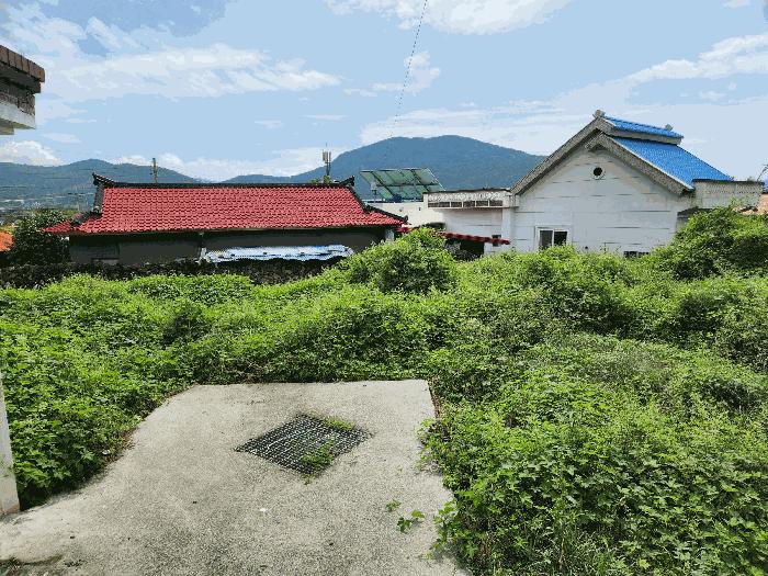 2025타경21919 법원경매 사진2 | 경남 거제시 임야 경매