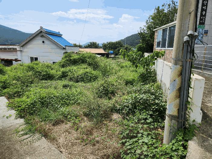 2025타경21919 법원경매 사진3 | 경남 거제시 임야 경매