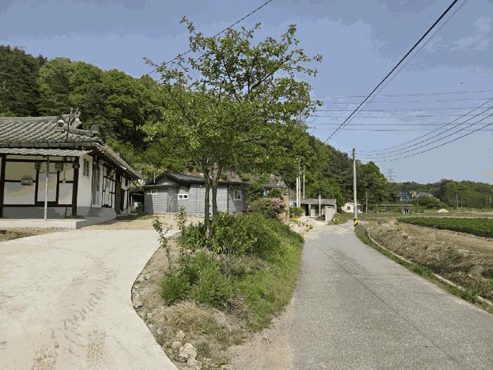 법원경매 2025타경100218 사진4 | 영주시 장수면 갈산리 454 답 경매