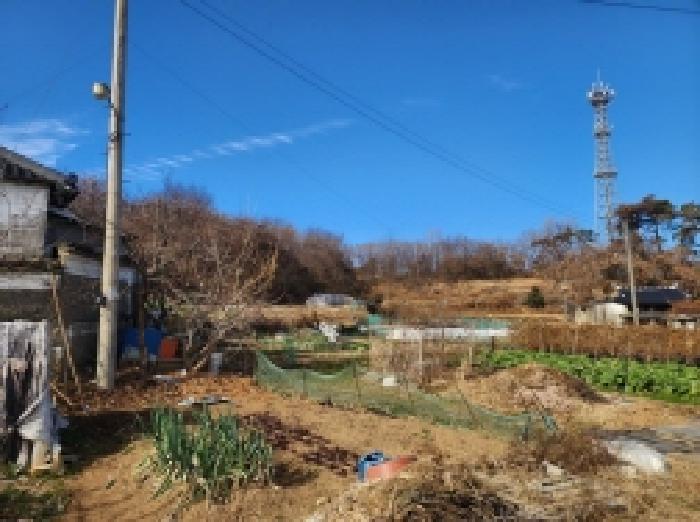 2025타경725 법원경매 사진40 | 전남 여수시 전 경매