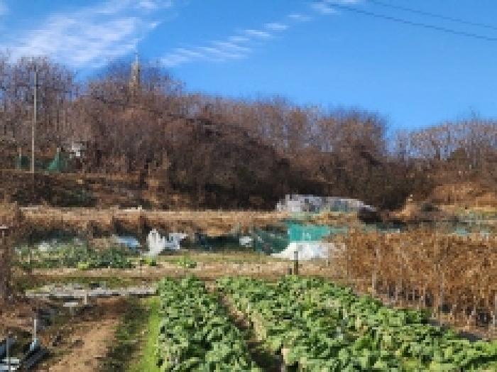2025타경725 법원경매 사진41 | 전남 여수시 전 경매