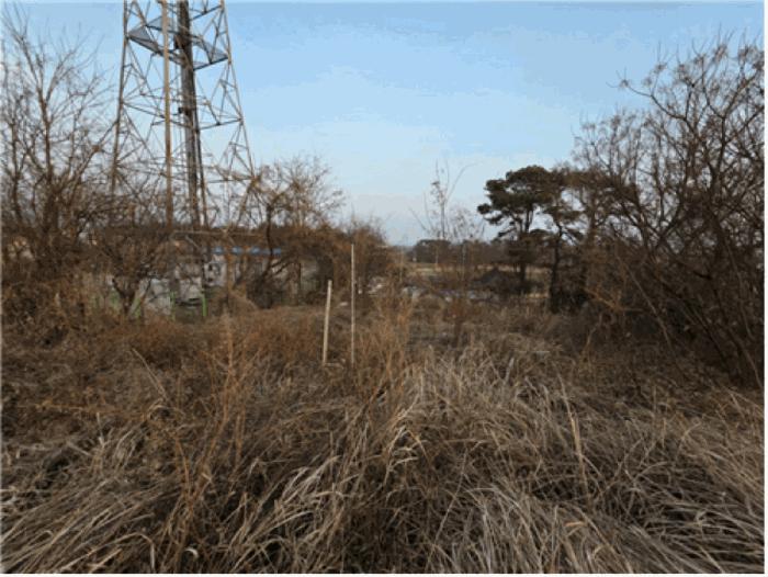 2025타경725 법원경매 사진5 | 전남 여수시 전 경매