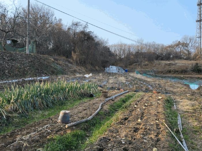 2025타경725 법원경매 사진6 | 전남 여수시 전 경매