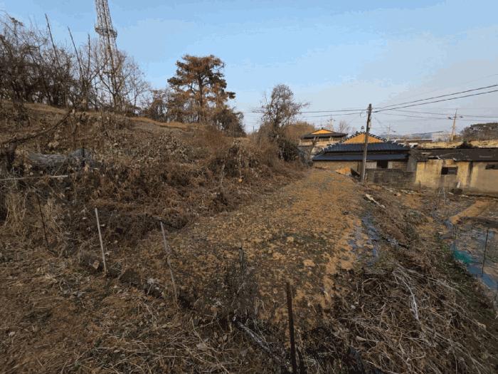 2025타경725 법원경매 사진7 | 전남 여수시 전 경매
