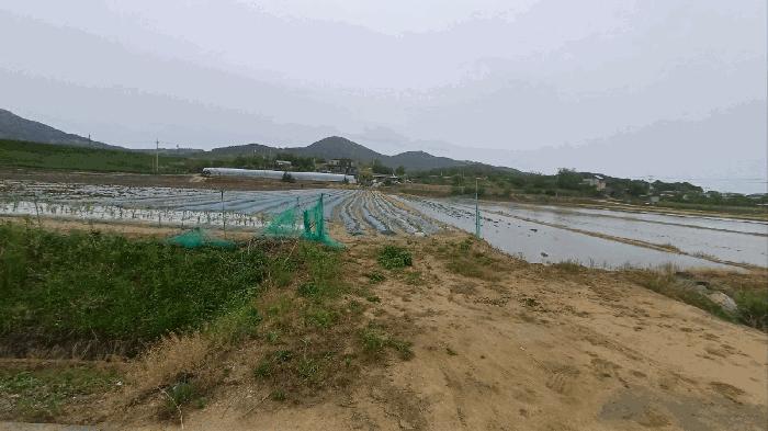 법원경매 2025타경100330 사진2 | 안동시 풍천면 가곡리 4 답 경매