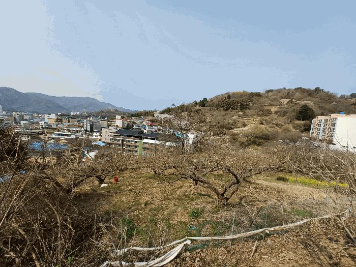 2025타경615 법원경매 사진2 | 경남 하동군 전 경매