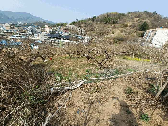 2025타경615 법원경매 사진5 | 경남 하동군 전 경매