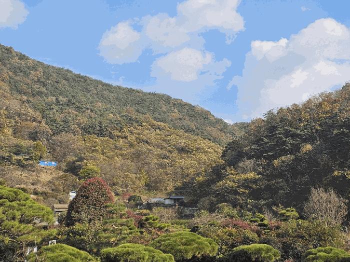 2025타경52304 법원경매 사진2 | 전남 순천시 임야 경매