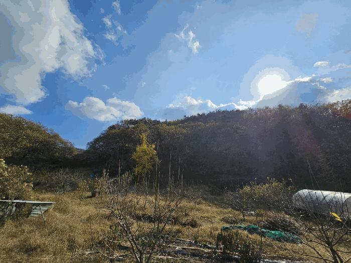 법원경매 2025타경52304 사진3 | 순천시 서면 학구리 임야 경매