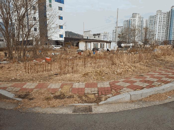전라남도 광양시 마동 1174-5 법원경매 물건 대표사진