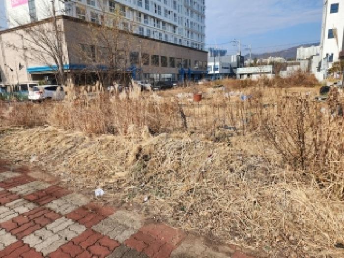 2025타경52402 법원경매 사진11 | 전남 광양시 대지 경매