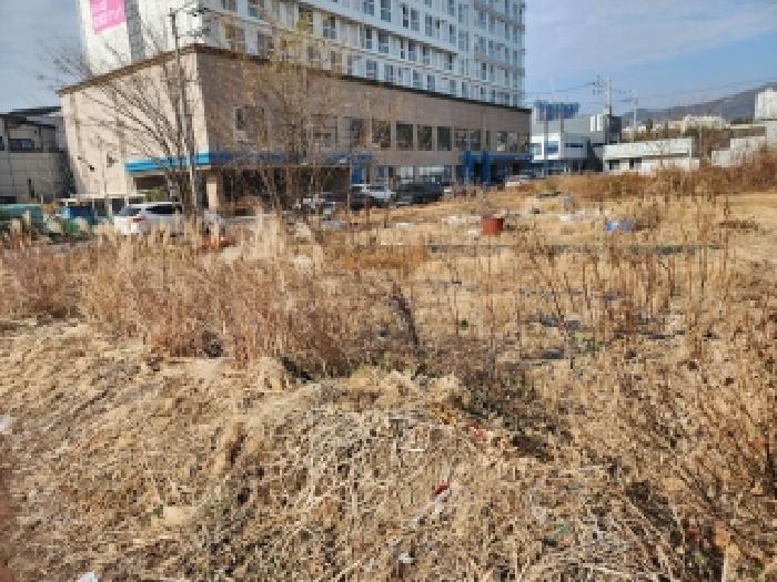 2025타경52402 법원경매 사진12 | 전남 광양시 대지 경매