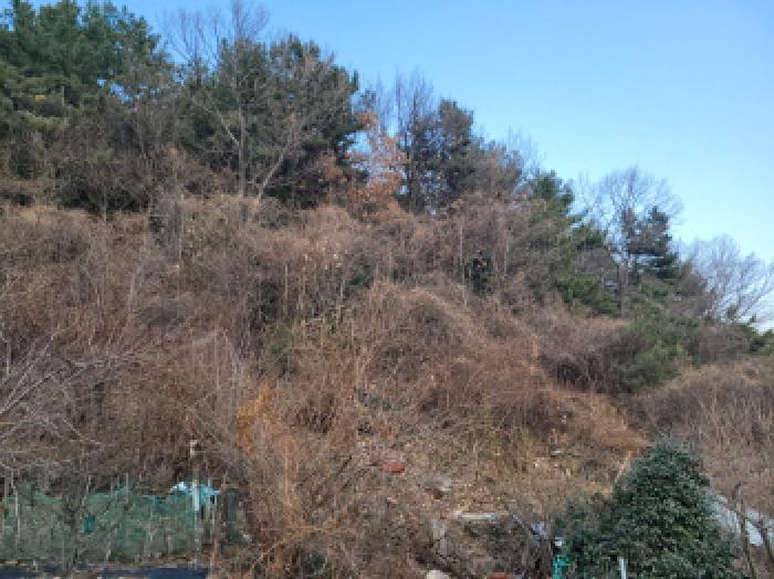 2025타경52413 법원경매 사진13 | 전남 여수시 임야 경매