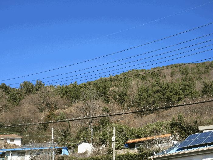 2025타경52413 법원경매 사진2 | 전남 여수시 임야 경매