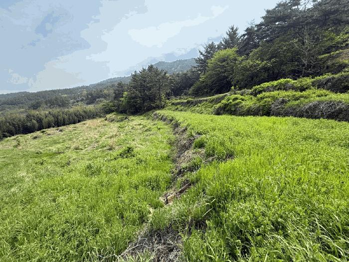 2025타경30778 법원경매 사진3 | 경남 남해군 전답 경매