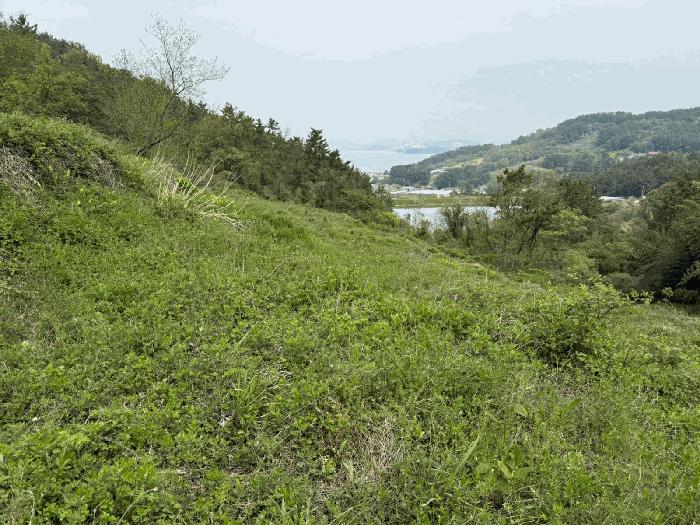 2025타경30778 법원경매 사진8 | 경남 남해군 전답 경매