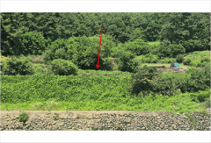 2025타경765 법원경매 사진3 | 경남 남해군 전 경매