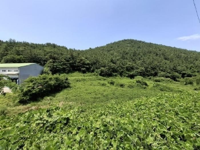 2025타경792 법원경매 사진4 | 경남 남해군 답 경매