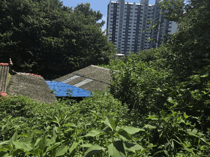 경남 진주시 유곡동 120-5 주택 사진 3