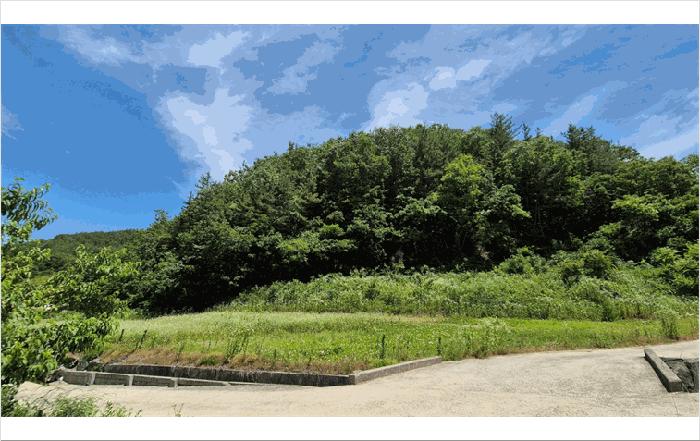경상남도 진주시 미천면 효자리 20-1 법원경매 물건 대표사진