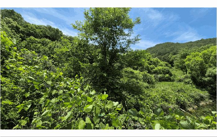 2025타경30884 법원경매 사진3 | 경남 진주시 임야 경매