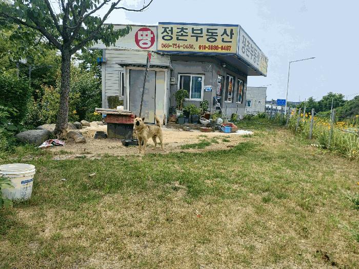 2025타경30897 법원경매 사진6 | 경남 진주시 상가 경매