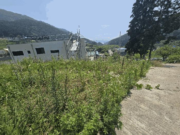 2025타경30931 법원경매 사진3 | 경남 사천시 과수원 경매