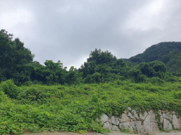 경기도 가평군 청평면 상천리 산82-1 법원경매 물건 대표사진
