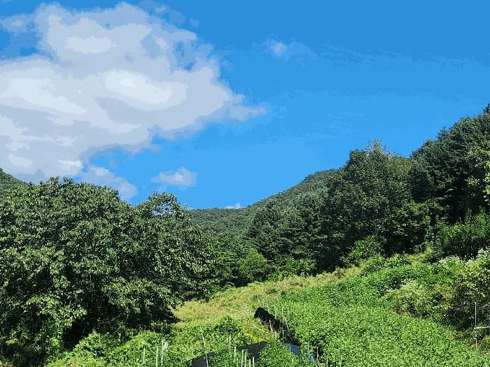 경기도 가평군 북면 제령리 378-1 법원경매 물건 대표사진