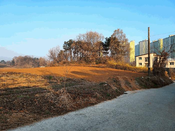 법원경매 2025타경55363 사진2 | 화성시 향남읍 하길리 1297-7 전 경매