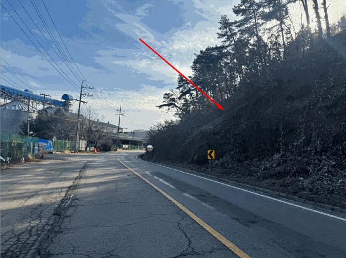 법원경매 2025타경64871 사진4 | 파주시 파주읍 봉암리 임야 경매