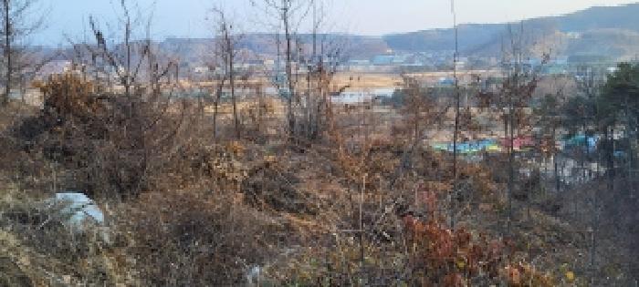 법원경매 2025타경64871 사진5 | 파주시 파주읍 봉암리 임야 경매