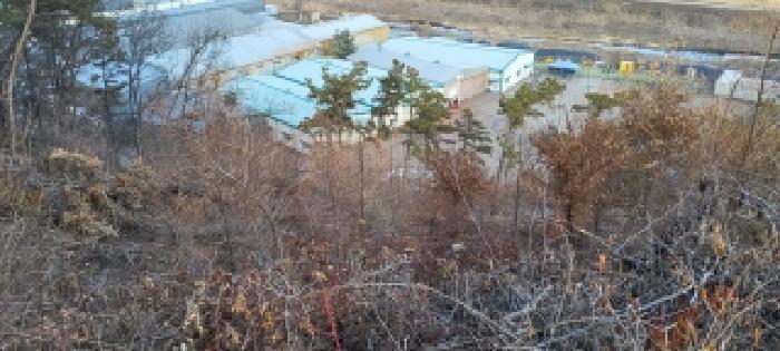 법원경매 2025타경64871 사진6 | 파주시 파주읍 봉암리 임야 경매