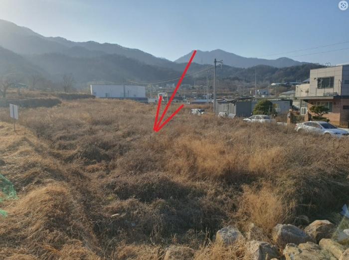 법원경매 2024타경129016 사진14 | 칠곡군 북삼읍 어로리 427-5 답 경매