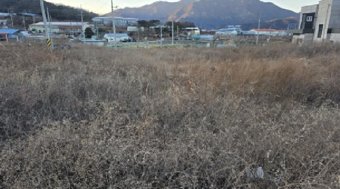 법원경매 2024타경129016 사진17 | 칠곡군 북삼읍 어로리 427-5 답 경매