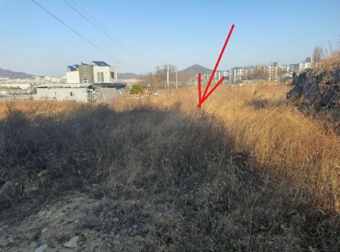 법원경매 2024타경129016 사진2 | 칠곡군 북삼읍 어로리 427-5 답 경매