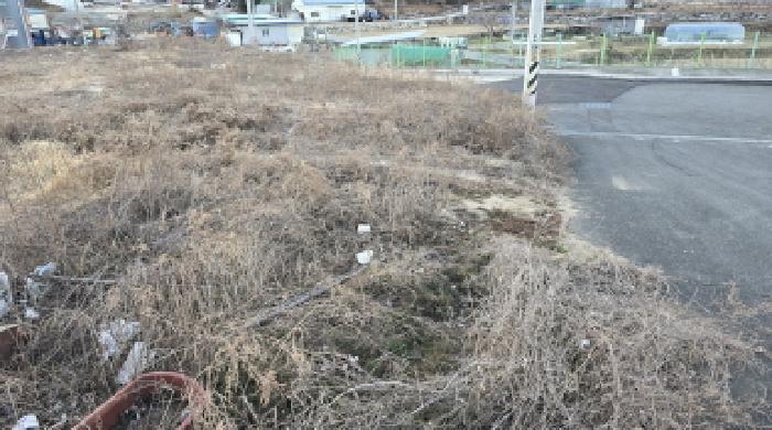법원경매 2024타경129016 사진31 | 칠곡군 북삼읍 어로리 427-5 답 경매